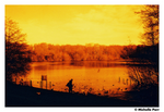 Harman RED 36 pose Colore Red scale