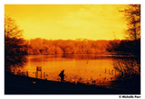 Harman RED 36 pose Colore Red scale