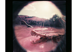 Fisheye Baby 110 Gold