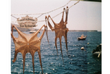 Lomo Analogue Pocket Trio 110