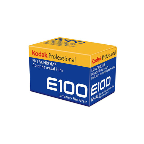 Kodak PROFESSIONAL E100 EKTACHROME 36 Pose