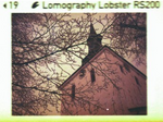 LOMOGRAPHY Lomography: Lobster Redscale 110